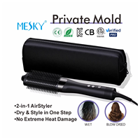 Cepillo Secador de Pelo 800W para Cabello Húmedo y Seco, Iónico con Cerdas de Nylon, Cepillo de Aire Caliente Profesional