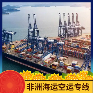 Logística de Hon Hai en África, Transporte Marítimo y Aéreo de Carga para África - Product Image 3