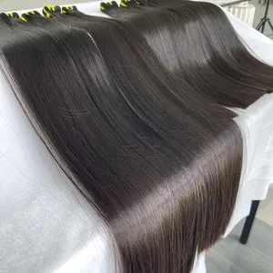 Weave 12A Raw Indian Vietnamese Human Hair Bundles Vendor Wholesale 100% Natural Remy Raw Cuticle Aligned Virgin Hair Weave Bundles