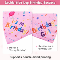Bandana personnalisé pour chien avec nom brodé, foulard triangulaire, accessoires de costume pour animaux de compagnie