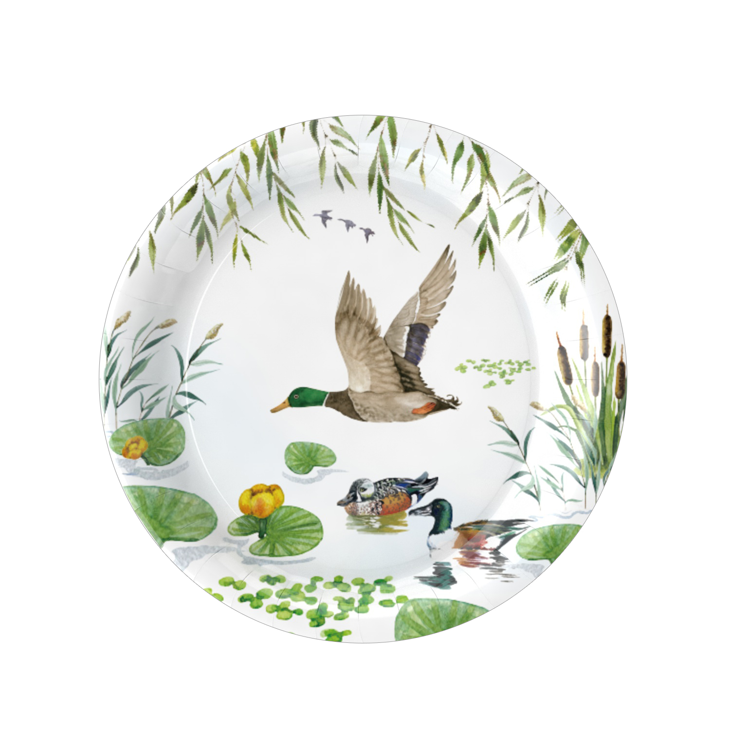 Assiette de 7 pouces * 16 pièces