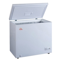 Article populaire BC/BD-158 Congélateur coffre électrique 150L, compartiments de rangement profonds à porte unique avec couvercles pour camping-car et usage extérieur, conception portable