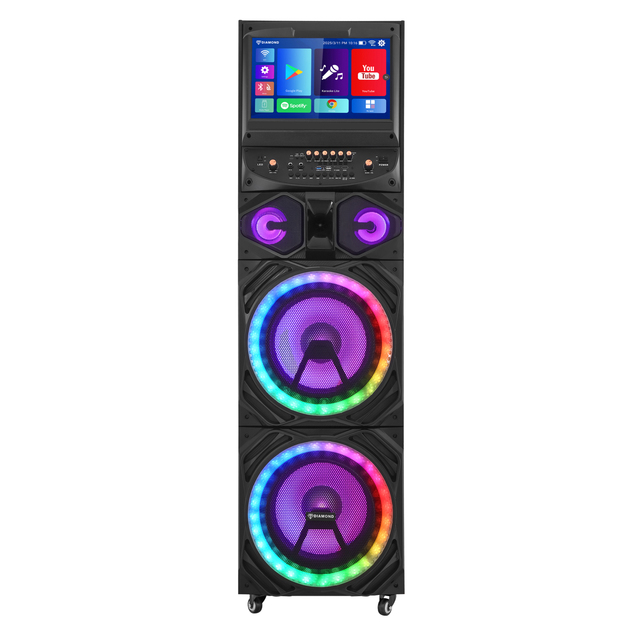 12'' Woofer 100W PA System Portable Bluetooth Speaker Karaoke Machine for Adults with 2 Wireless Microphones and Disco Lights