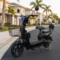 Bicicleta Eléctrica al por Mayor 2025 de 500W, 48V 12Ah, 14 Pulgadas con Enchufe Brasileño - Directo de Fábrica OEM/ODM para Importadores B2B