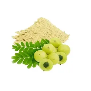 Giá bán buôn khô Amla bột tự nhiên chất lượng cao hữu cơ thảo dược Amla bột cho chất lượng xuất khẩu phyllanthus emblica bột