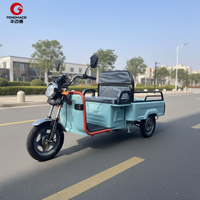 Tricycle électrique à 3 roues pour le transport de marchandises, camionnette commerciale, taxi, véhicule utilitaire, EEC, 2 personnes, van