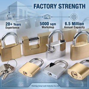 Cadenas en laiton fin de 20 mm, bonne qualité, étanche, antivol, cadenas recouvert de plastique coloré - Product Image 6