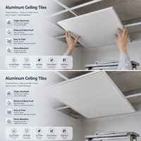 Panneaux de plafond en aluminium sur mesure, finition décorative, design moderne, faible MOQ, usage commercial