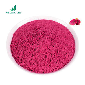 Preço de atacado de fábrica em pó de suco de pitaia orgânico de frutas de dragão de marca própria - Product Image 3