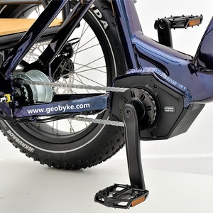 Tricycle électrique de 48V 500W pour le vélo adulte de cargaison <span class=keywords><strong>3</strong></span> roues avec le moteur d'entraînement moyen - Product Image 4