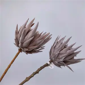 Directo de fábrica al por mayor de Navidad decoración de la boda artificial protea cynaroides flores rey protea