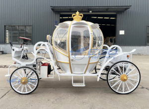 Carruaje de Lujo Real con Caballos, Decoración Eléctrica para Bodas, Luces LED, Tamaño Real, para 4-6 Personas, en Venta - Product Image 3