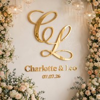 Lettres métalliques personnalisées Zhilin pour logo, enseigne, numéro de maison, lettres d'invitation, artisanat, décoration de mariage, IP65