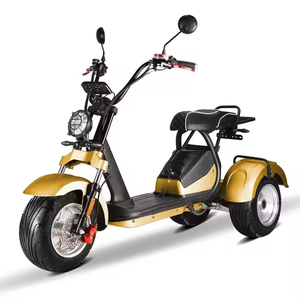 Tricycle à 3 roues Loyal, scooter électrique à double moteur, <span class=keywords><strong>2000w</strong></span>, batterie 60v 20ah, moto électrique, vélo, Citycoco pas cher, 4000w - Product Image 1