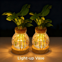 Vase en verre LED en gros, pot hydroponique de table avec couvercle en liège, station de propagation de plantes, vase à fleurs de bureau avec base en bois