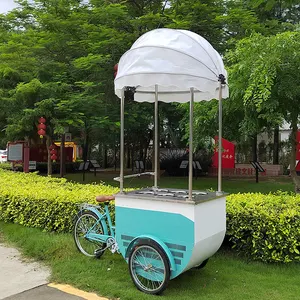 Triciclo de bicicleta de helado al aire libre de nuevo diseño con congelador/carrito de camión de comida móvil/carrito de helado de paletas con dosel