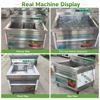 Multifunctionele Vortex-wasmachine Commerciële fruit-groente-vleeswasser Ozon-desinfectie Pesticide-ontslag