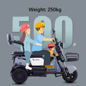 Vente en gros 600W48V ménage tricycle électrique vélo intelligent tricycle électrique scooter <span class=keywords><strong>pour</strong></span> <span class=keywords><strong>personne</strong></span> à mobilité réduite - Product Image 4