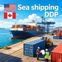 Agent maritime 18-25 jours Amazon FBA Transitaire maritime FCL LCL Porte à porte vers les États-Unis