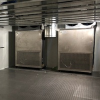 Commerciële mango-, banaan- en rozijn-droogmachine te koop, professionele voedseldroger