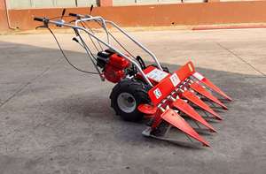 Segadora TNS de Alta Productividad para Uso Agrícola, con Motor, Precio con Descuento, Calidad Garantizada, Directo de Fábrica, 1 Año de Garantía - Product Image 2