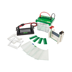 Gelsonlab HS-SCZ2 + मिनी-Protean खड़ी वैद्युतकणसंचलन सेल - Product Image 1