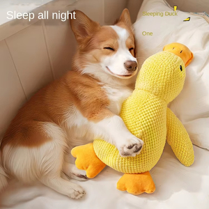 Çevre dostu tavuk lezzet köpek oyuncak peluş vokal yavru ayı ile Teddy Corky Molar diş Pet Bichon öz-bite çözme kapalı kullanım - Product Image 2