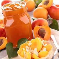 Lini Pengolahan Aprikot, Persik, dan Plum Lengkap yang Dapat Disesuaikan untuk Pembuatan Jus, Puree, Selai, dan Buah Kaleng