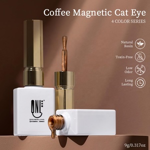 R S Nail 9ml Caramel Brun Café Chat Gel Magnétique Nail Supplies Automne Eau Lumière Cat Eye Gel Vernis Nail Art Vernis - Product Image 2