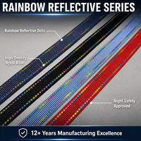 Sangle en nylon réfléchissant colorée de 1 pouce avec des lignes de fil double arc-en-ciel pour collier d'animal, laisse, sangle de sac et équipement de plein air
