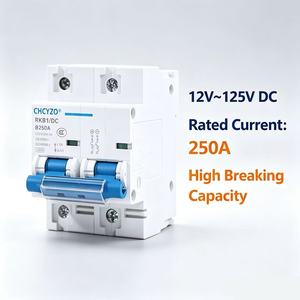 Disjoncteur DC 250A 200A 150A CHCYZO RKB1/DC 12V-125V Interrupteur MCB pour batterie de voiture et système solaire - Product Image 2