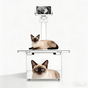 Logiciel de diagnostic IA haute fréquence, Colimètre dynamique 32 kW, Machine DR numérique vétérinaire à écran tactile, Certifié CE 110V/220V Classe II - Product Image 1