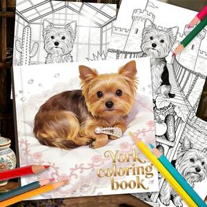 Libro para Colorear Personalizado al por Mayor para Niños, Cuaderno de Dibujo Espiral, Libros para Colorear para Aliviar el Estrés, Regalos Escolares para Amigos y Parejas - Product Image 1