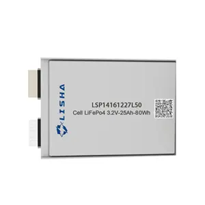 Lisha Chất lượng cao loại túi di động LiFePO4 lăng trụ túi di động 3.2V 50Ah 30Ah 20Ah LiFePO4 lăng trụ di động Li Ion pin