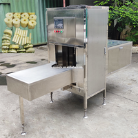 Industriële ananasschilmachine/fruitenschilmachine/meloenzaadmachine