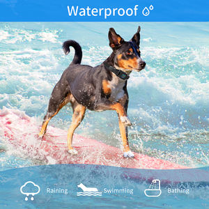 नए उत्पादों रंग स्क्रीन रिचार्जेबल डबल मोटर विरोधी छाल डिवाइस कुत्ते के लिए छाल कॉलर - Product Image 5