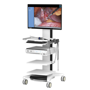 Sistema de Imagenología Médica Portátil FHD IKEDA YKD-9101 Todo en Uno, Cámara Urológica de Endoscopia Eléctrica, Equipo de Video ENT Integrado - Product Image 3