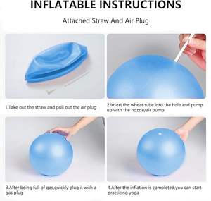 Mini yogaballen oefening pilates therapie balansbal barre apparatuur voor thuis stabiliteitstraining fysieke core training - Product Image 3