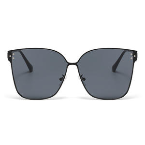 Gafas de Sol Unisex Personalizadas, Tendencia 2025, Estilo Retro, Polarizadas, Monturas de Lujo, Patillas Ajustables, Gafas Deportivas de Diseño - Product Image 2