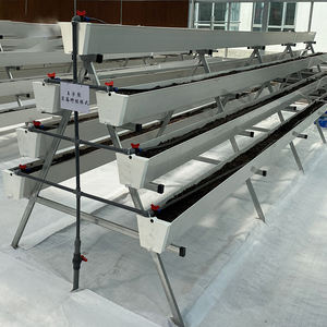 Sistema de cultivo de tomate fresa PVC canaleta sistema de cultivo hidropónico cultivo de plantas hidropónicas - Product Image 4