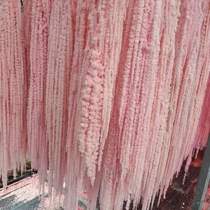 ดอกอะมารันธ์สีชมพูเขีย<span class=keywords><strong>ว</strong></span>ประดับตกแต่งแบบแขวน ขายดี สำหรับงานแต่งงาน/บ้าน/งานอีเ<span class=keywords><strong>ว</strong></span>้นท์ และการจัดดอกไม้ - Product Image 1