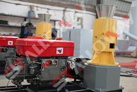 Machine à granulés de bois diesel robuste 45 CV avec pompe moteur et roulement pour la production industrielle de biocarburant 1500 kg/h