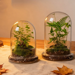 Terrario Moderno in Vetro Trasparente con Foro <span class=keywords><strong>per</strong></span> l'Aria, Vaso da Tavolo Ecologico <span class=keywords><strong>per</strong></span> <span class=keywords><strong>Piante</strong></span> <span class=keywords><strong>Grasse</strong></span>, Muschio, Mini Giardino, Decorazione <span class=keywords><strong>per</strong></span> Casa e Ufficio - Product Image 2