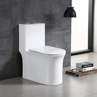 WC monobloc moderne blanc à siphon en S 300 mm, double chasse, céramique, anti-blocage, fermeture lente, pour villa, approvisionnement direct usine