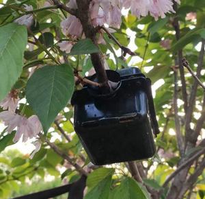 Dispositivo di radicazione per piante di forma quadrata scatola di propagazione per radicazione di ritagli ad alta pressione scatola di radicazione per piante in plastica riutilizzabile - Product Image 2