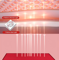 REDSKY 660nm 850nm Selimut Terapi Cahaya Merah Inframerah LED Berdenyut untuk Seluruh Tubuh & Wajah dengan Garansi 2 Tahun untuk Yoga Spa Gym