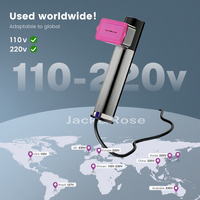 Défroisseur Vapeur Électrique Portable de Voyage, Utilisation Humide/Sèche, Pliable, pour Maison, Hôtel, Voiture et Usage Professionnel