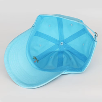 Groothandel Lichtblauwe Palmboom Geborduurde 100% Katoenen Baseballpet Verstelbare Riempje Unisex Volwassene Casual Zonnehoed
