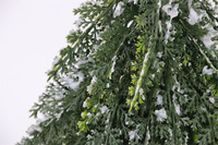 Sapin de Noël miniature givré en gros, branches de cèdre vertes, sapin artificiel de Noël, décoration de table intérieure pour la maison