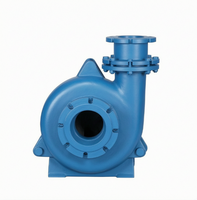 Pompa Centrifuga per Fanghi a Media Portata 100 x 125 mm per Processi di Circolazione di Fanghi a Flusso Elevato